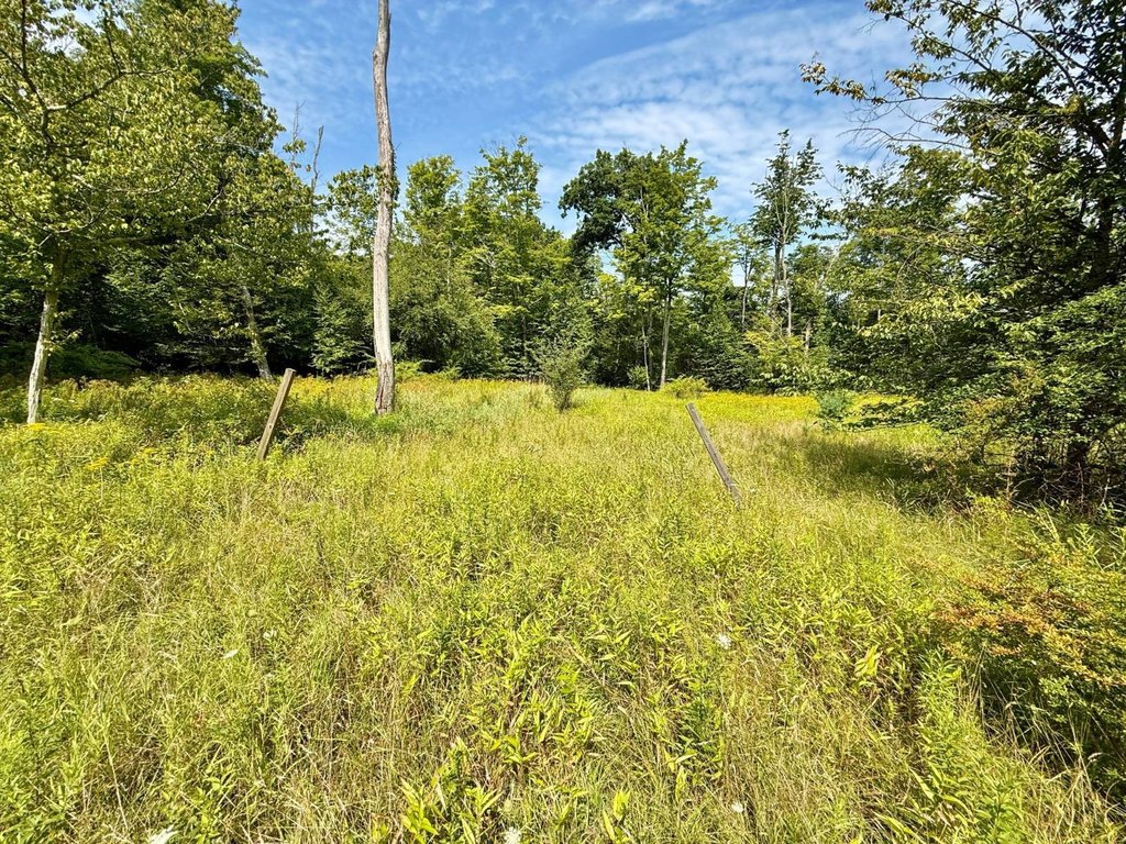 Picture 16