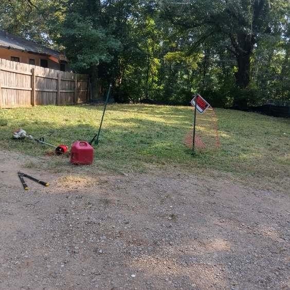 Picture 11