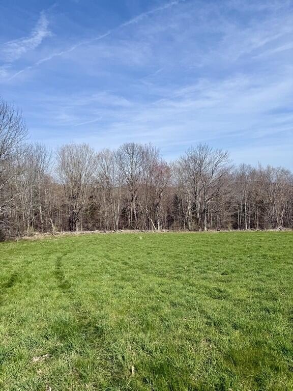 Picture 14