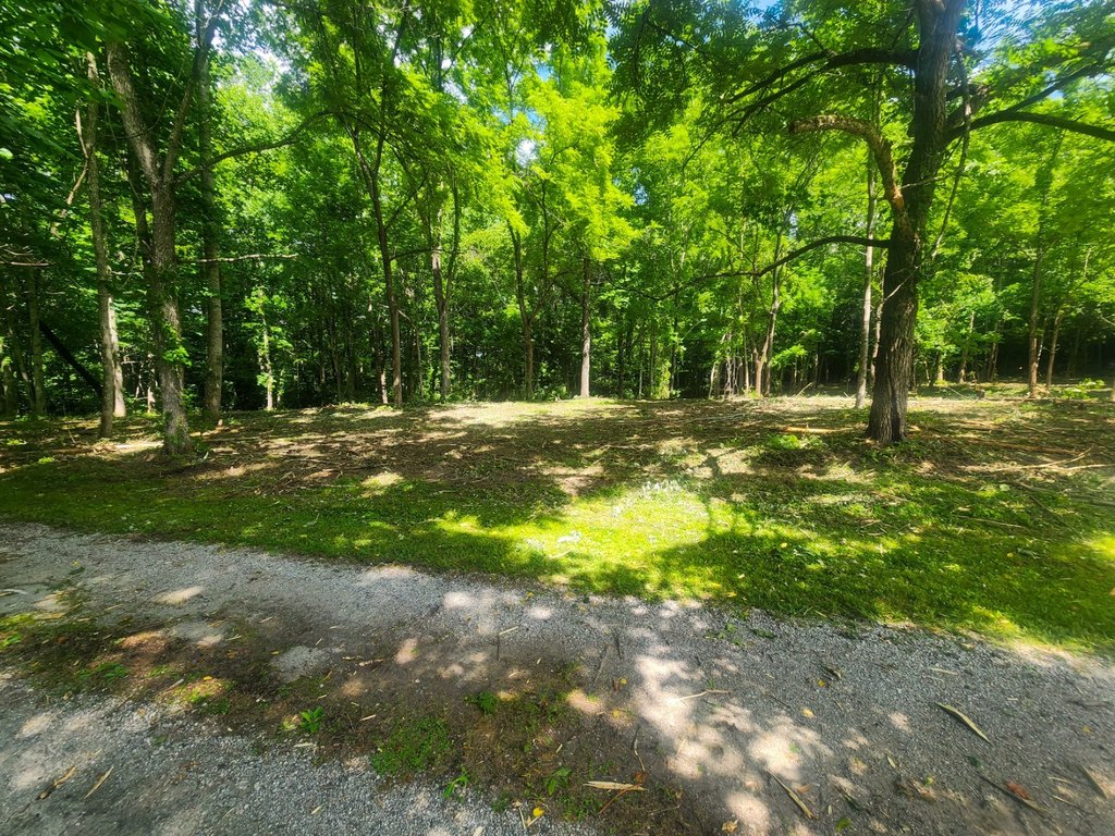 Picture 21