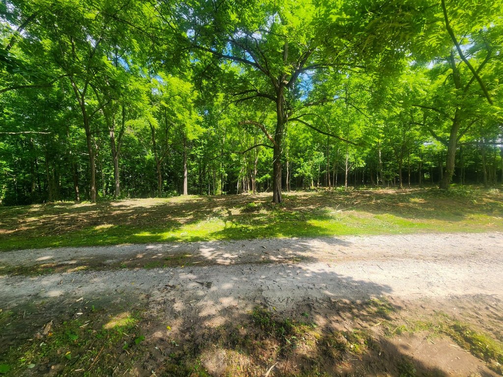Picture 16