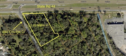 Commercial Land on State Road
