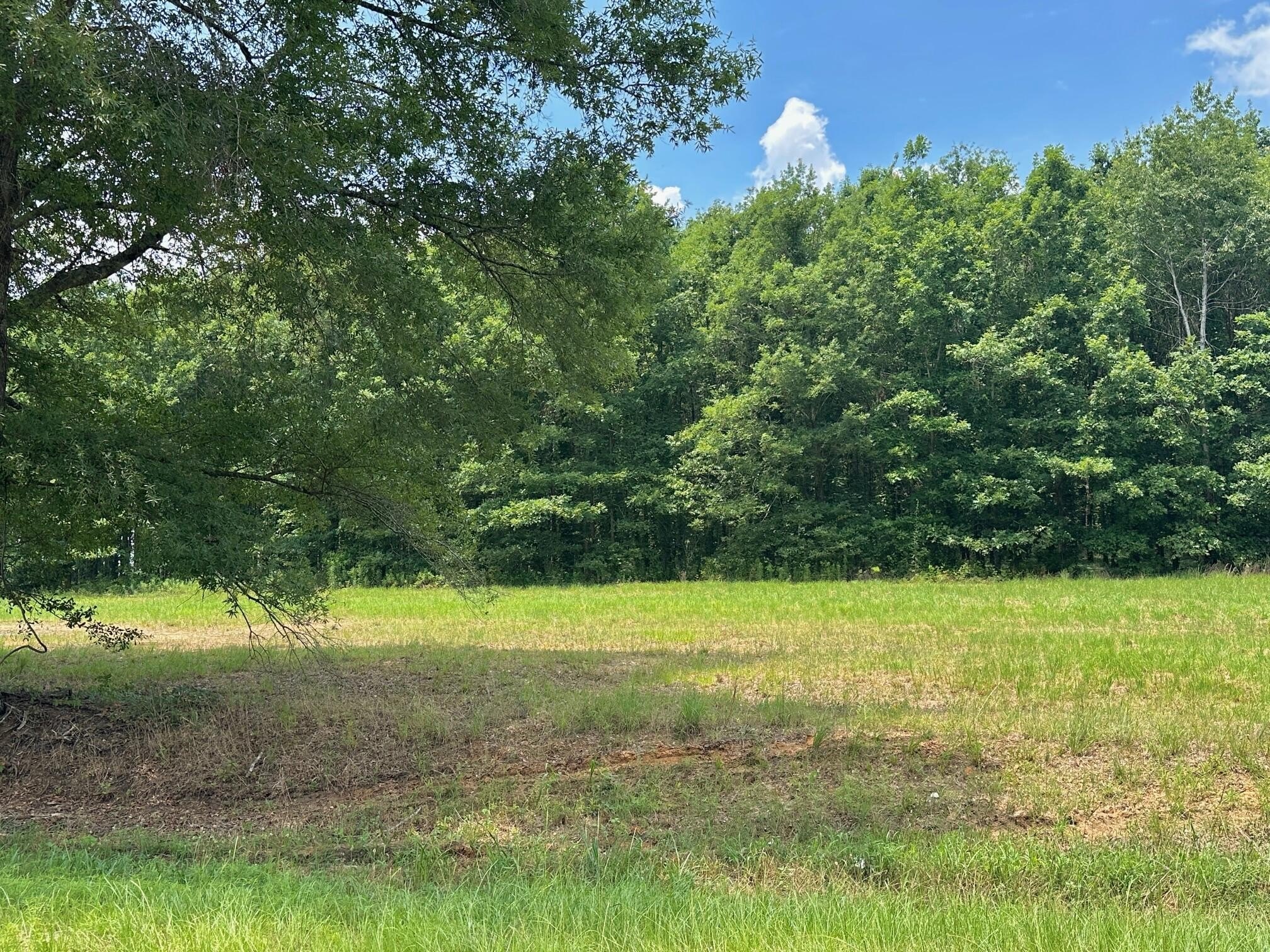 Rural Land Parcel in Waynesboro