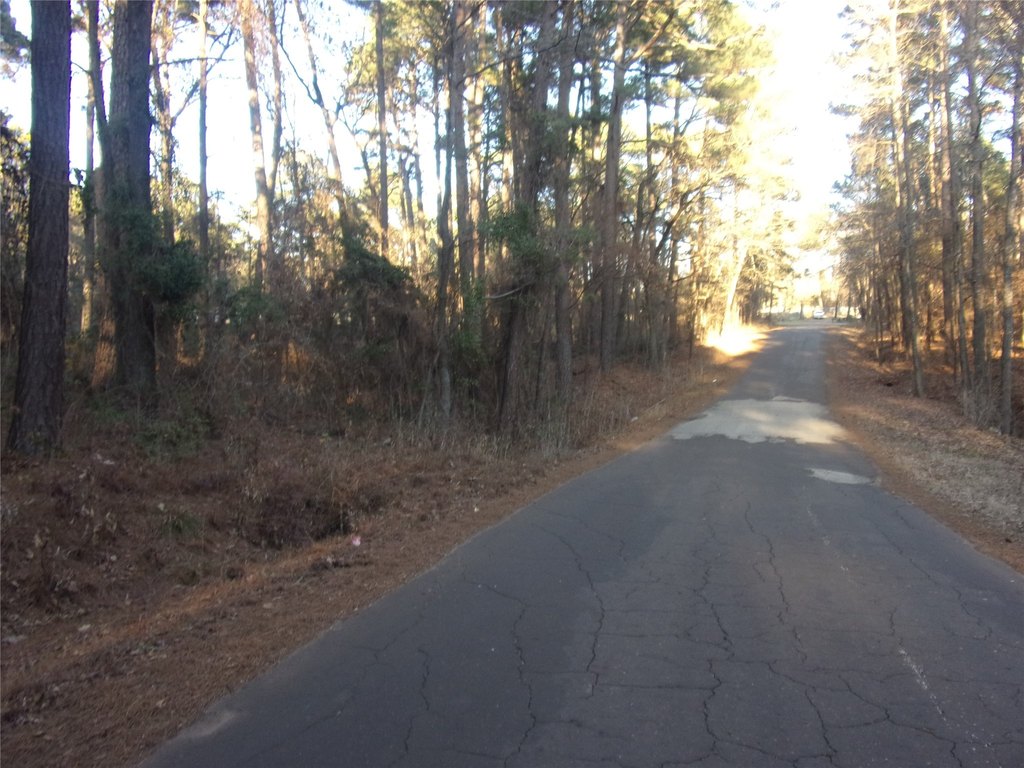 Picture 5