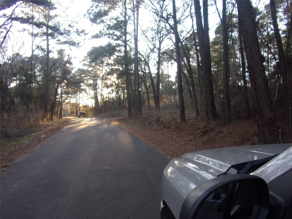 Picture 6
