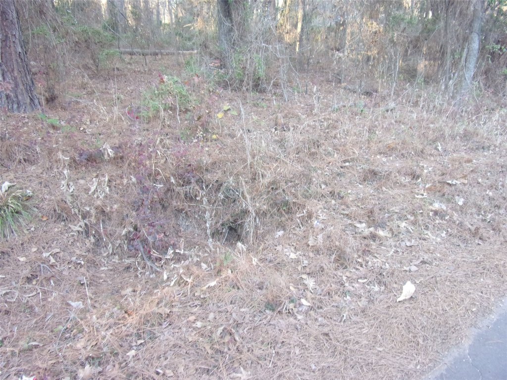 Picture 3