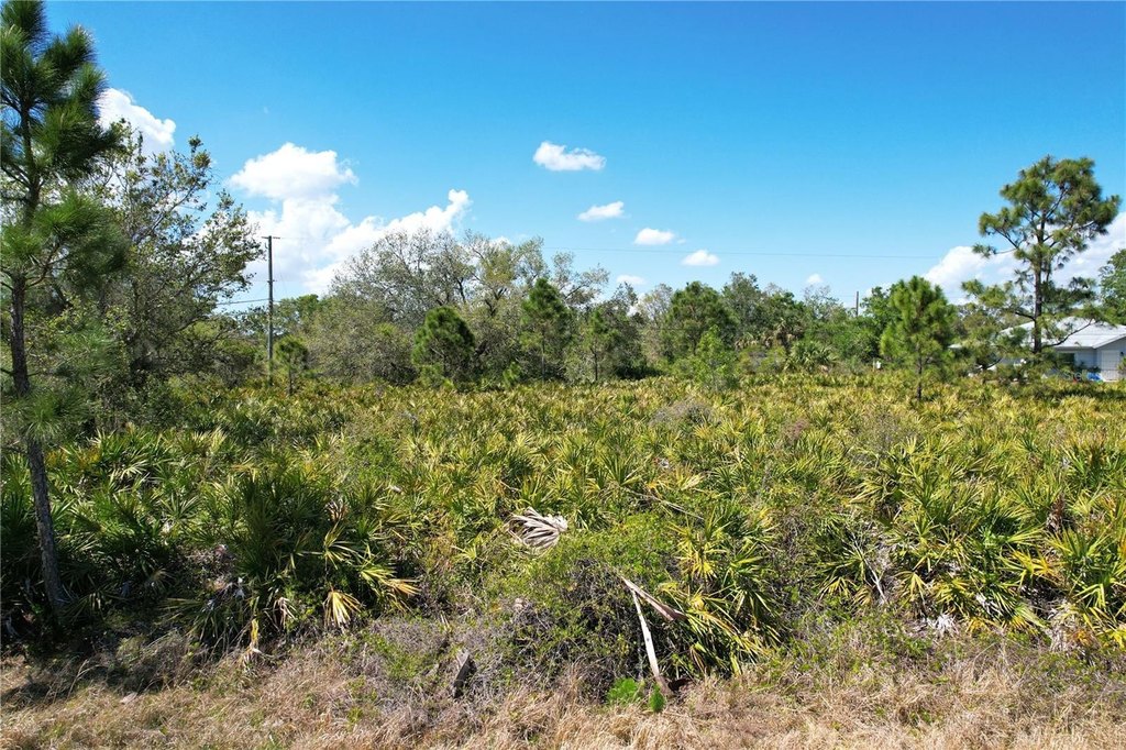 Picture 6