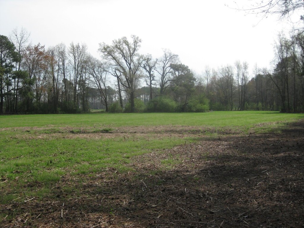 Picture 11