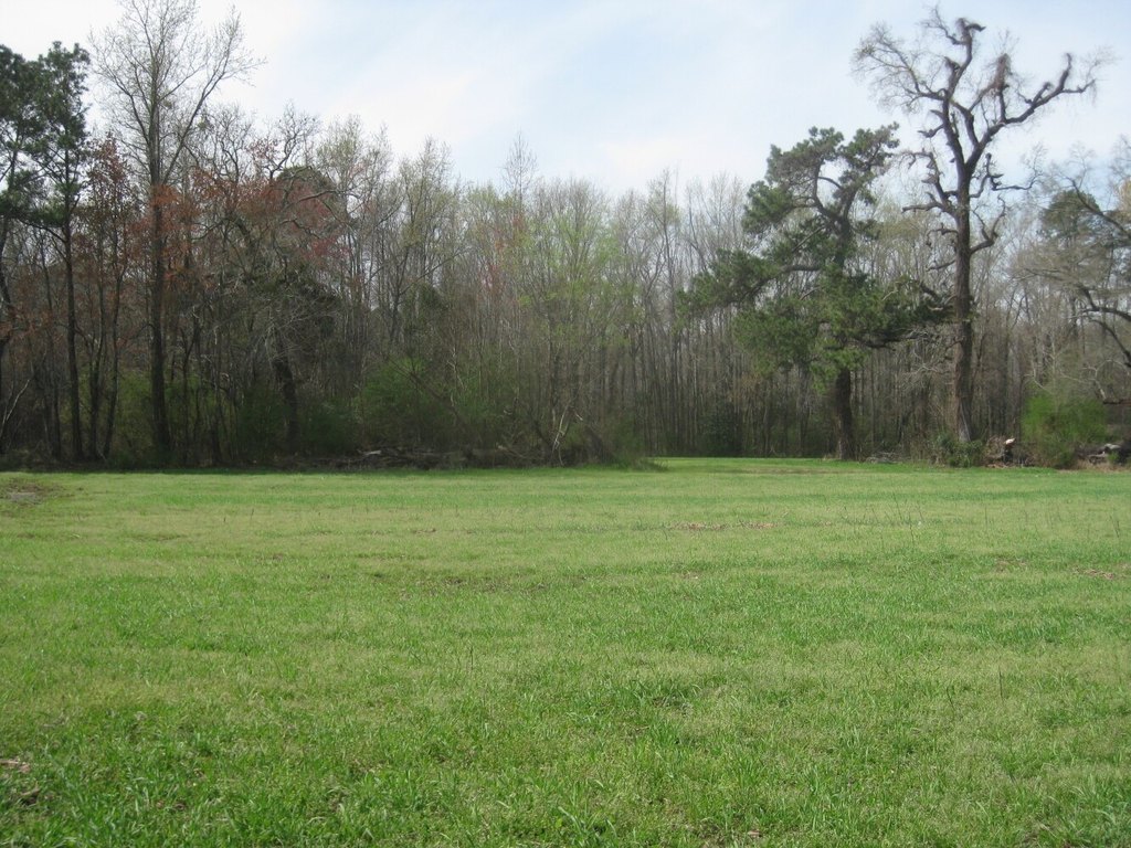 Picture 5