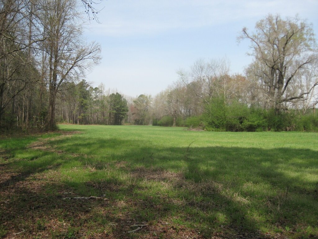 Picture 19