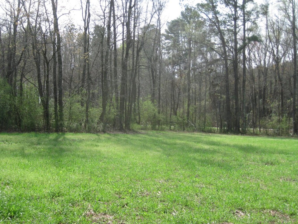 Picture 7