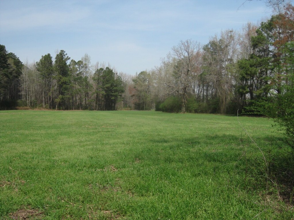 Picture 8