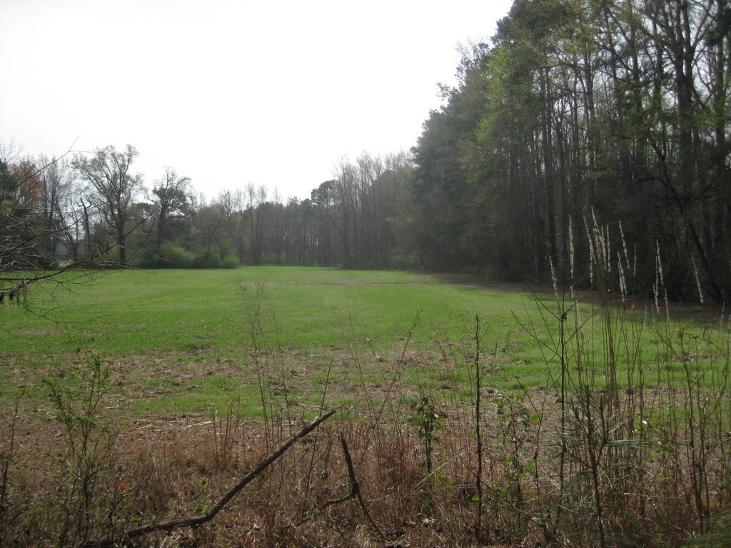Picture 14