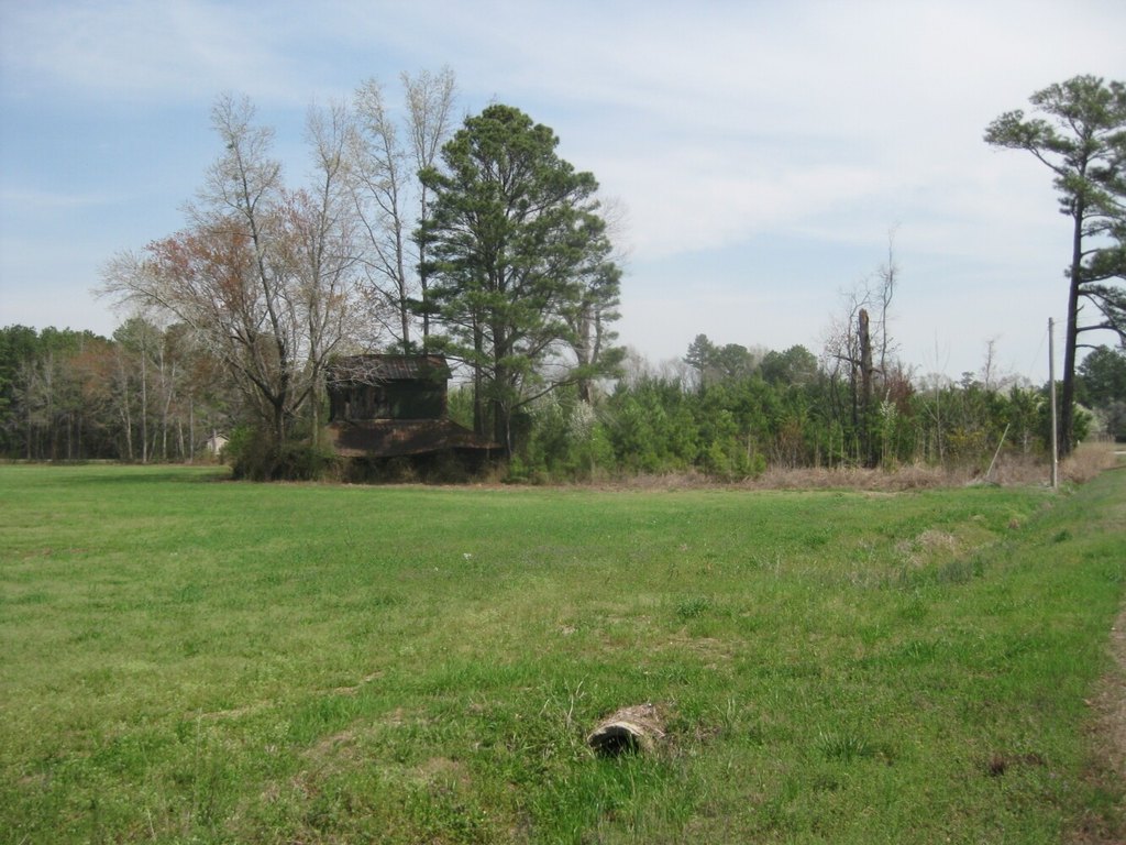 Picture 22