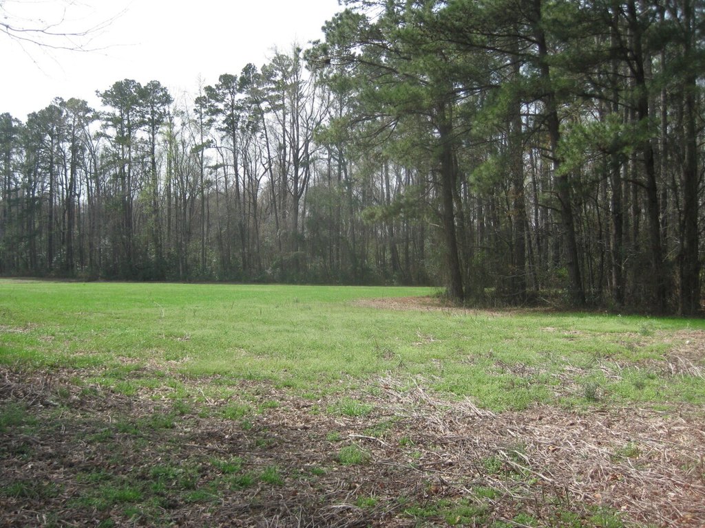 Picture 17