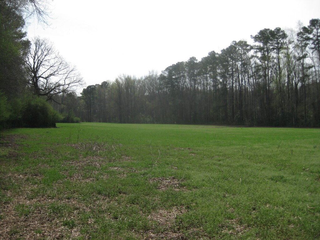 Picture 16