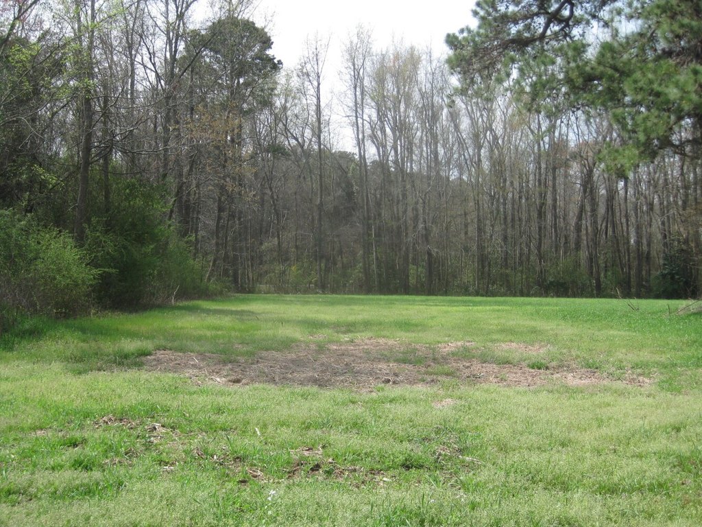 Picture 6