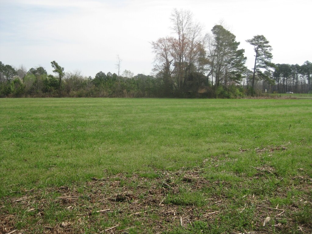 Picture 18