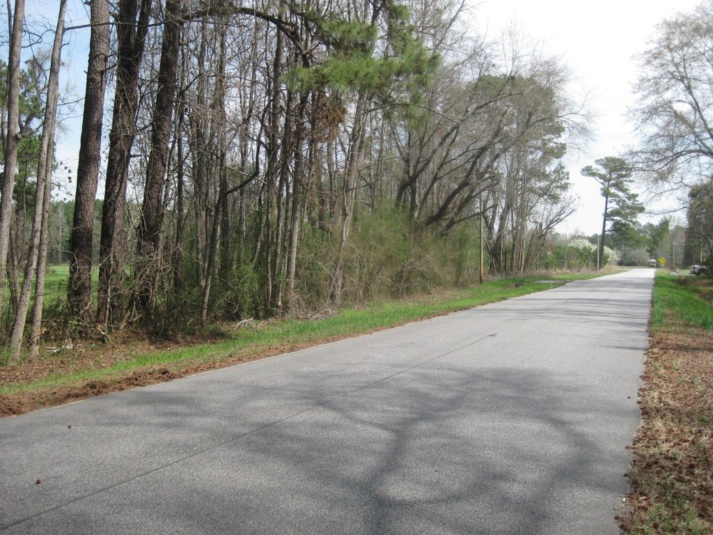 Picture 21