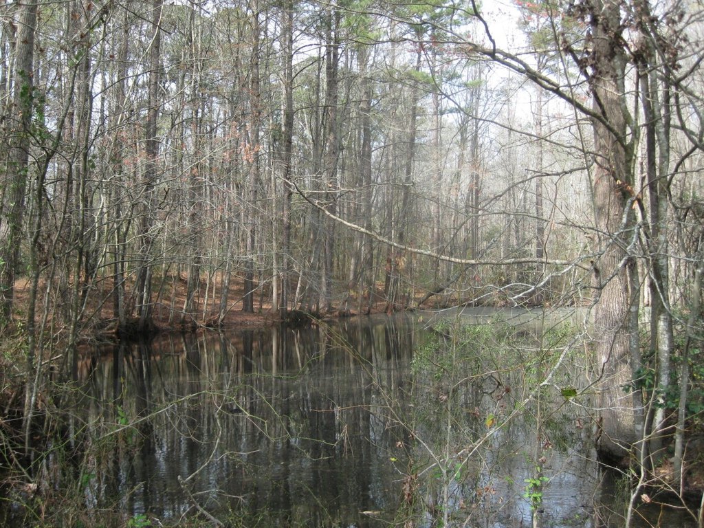 Picture 15