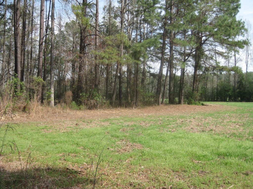 Picture 12