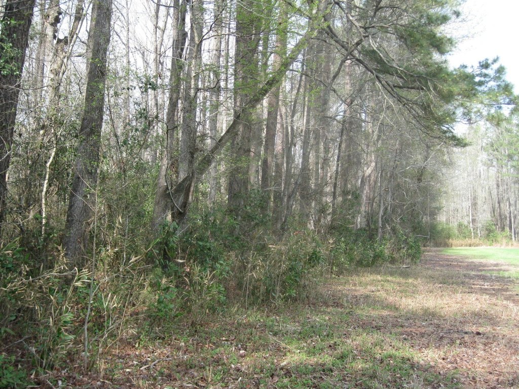 Picture 10