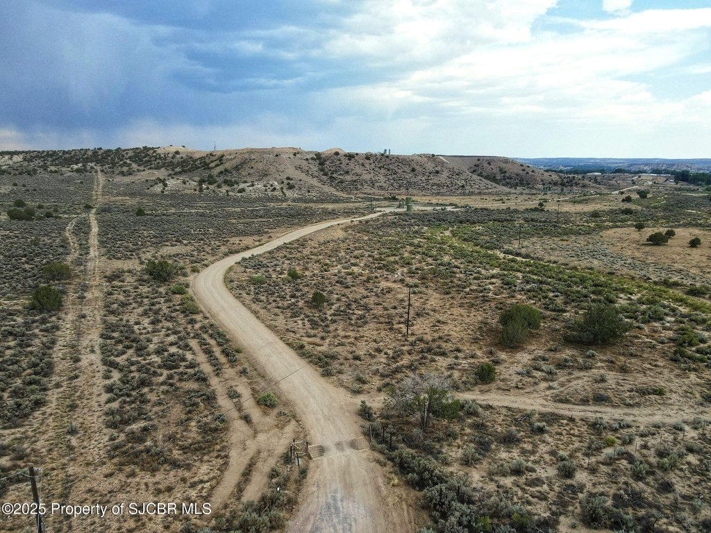 Picture 8
