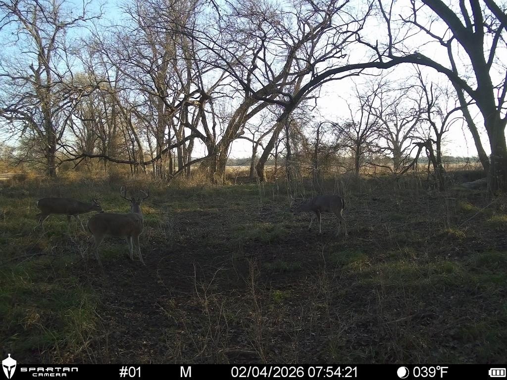 Picture 19
