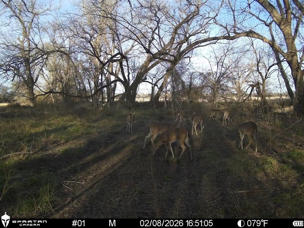 Picture 18
