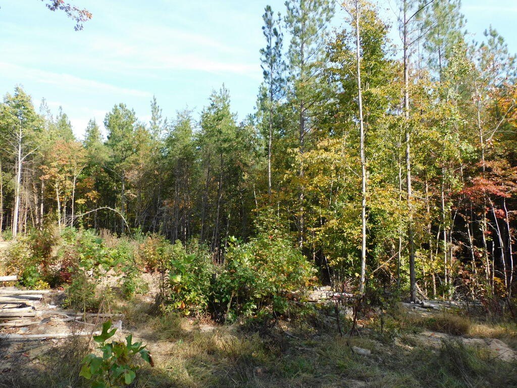 Picture 13