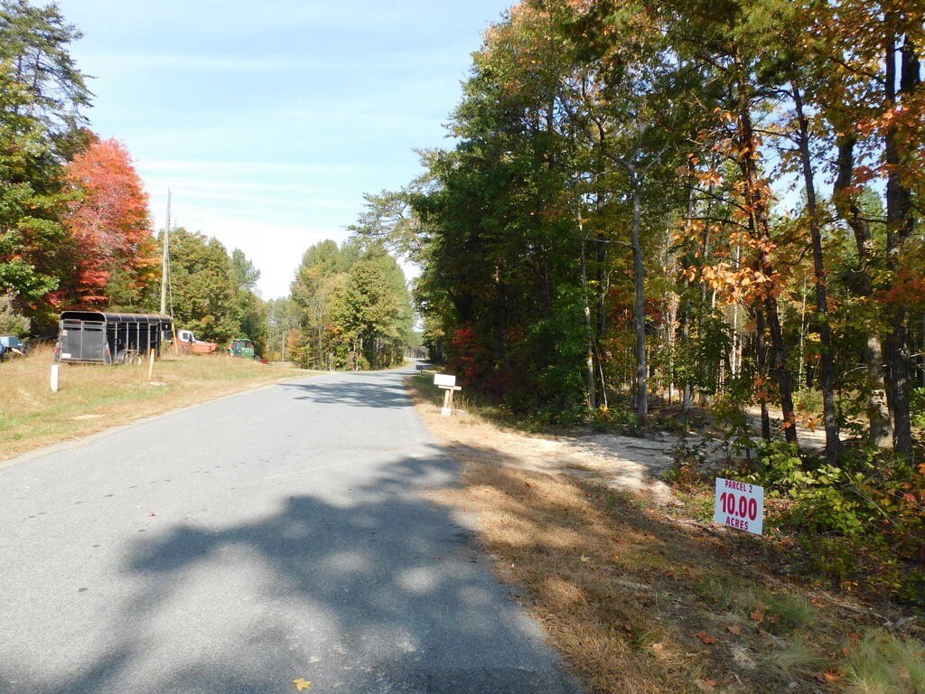 Picture 7