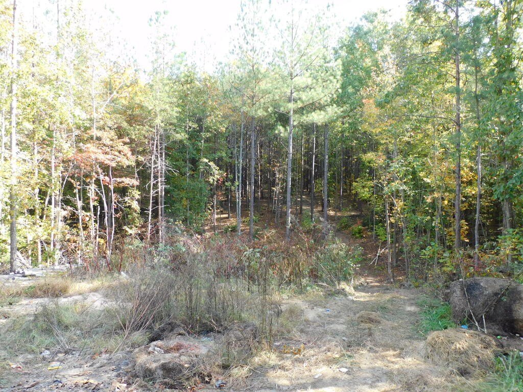 Picture 14