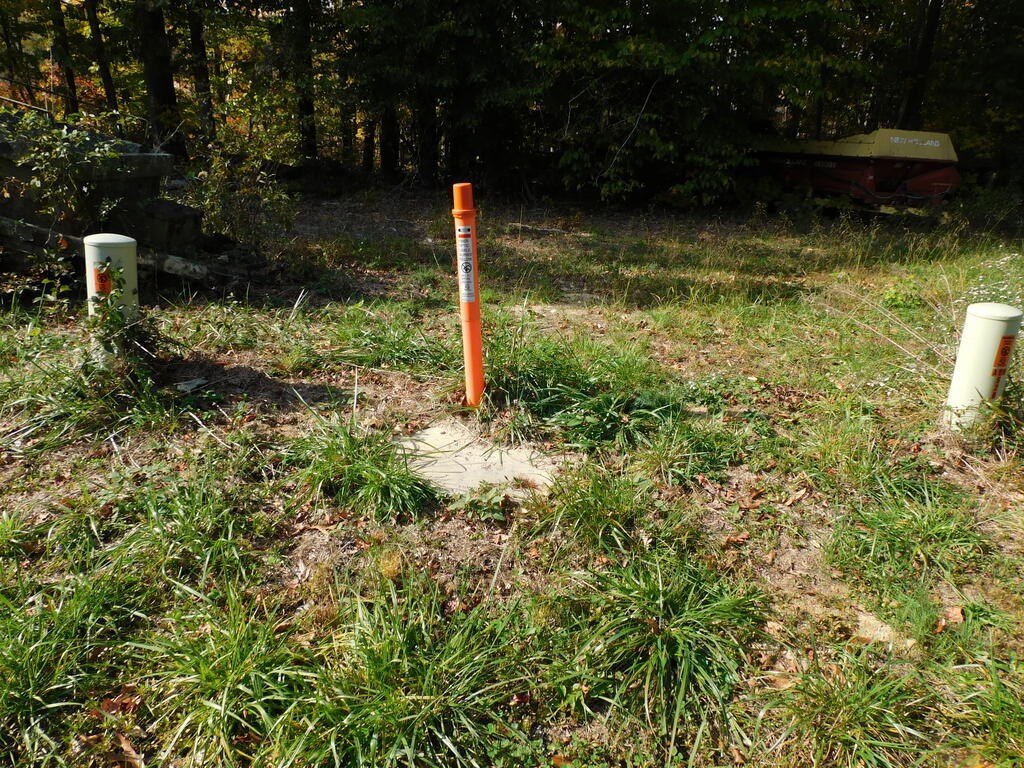Picture 15