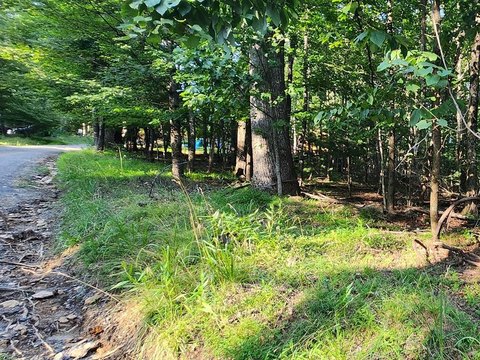 Wooded Corner Lot in Fancy Gap