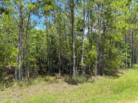 Wooded Land in Vancleave, MS