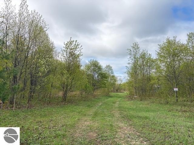 Picture 19