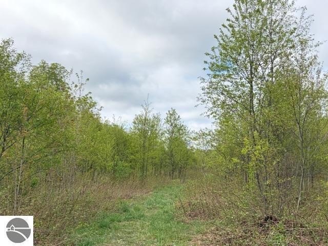 Picture 17