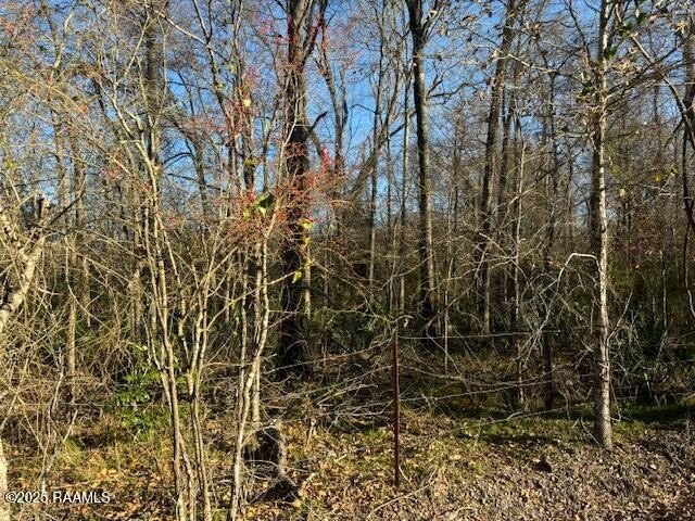 Unrestricted Wooded Land For Sale