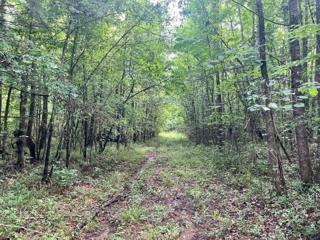 Picture 19
