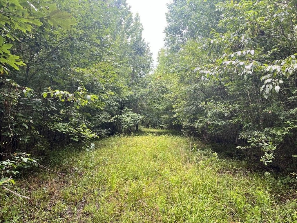 Picture 11
