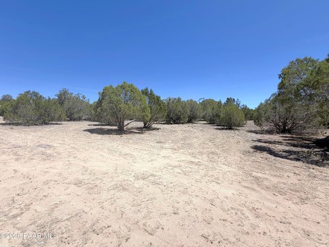 LAND - Seligman, AZ