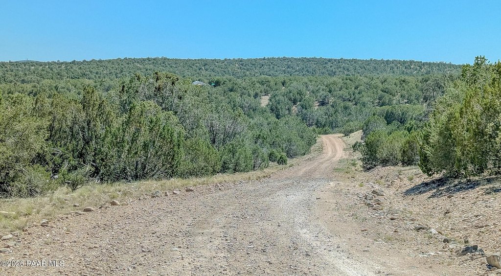 Picture 9
