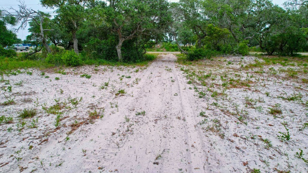 Picture 8