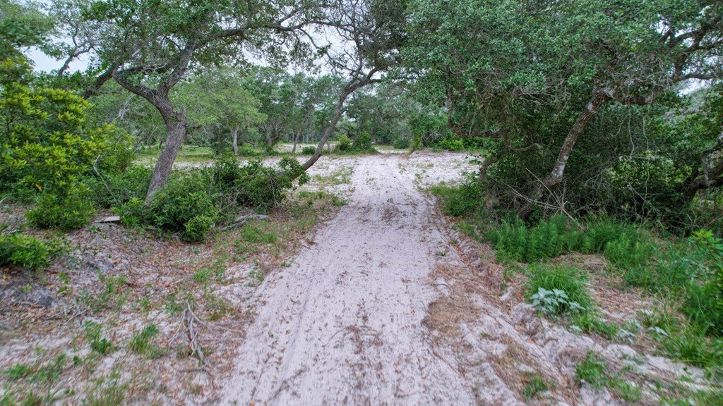 Picture 9