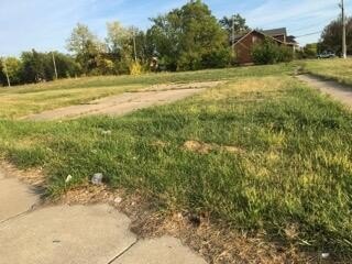 Detroit Commercial Land For Sale