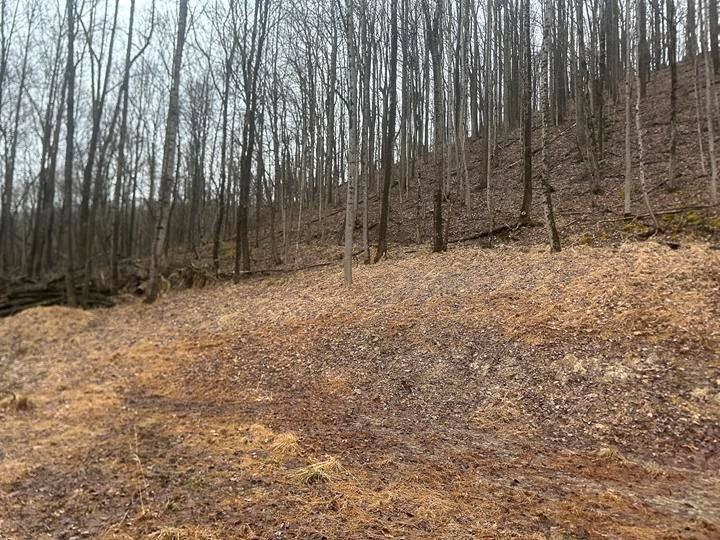 Picture 13