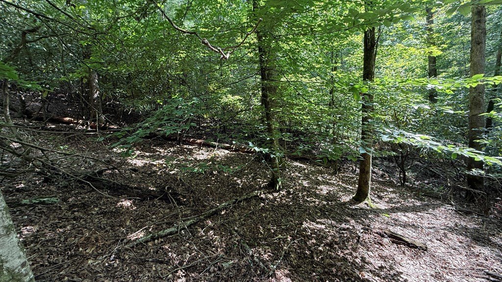 Picture 17