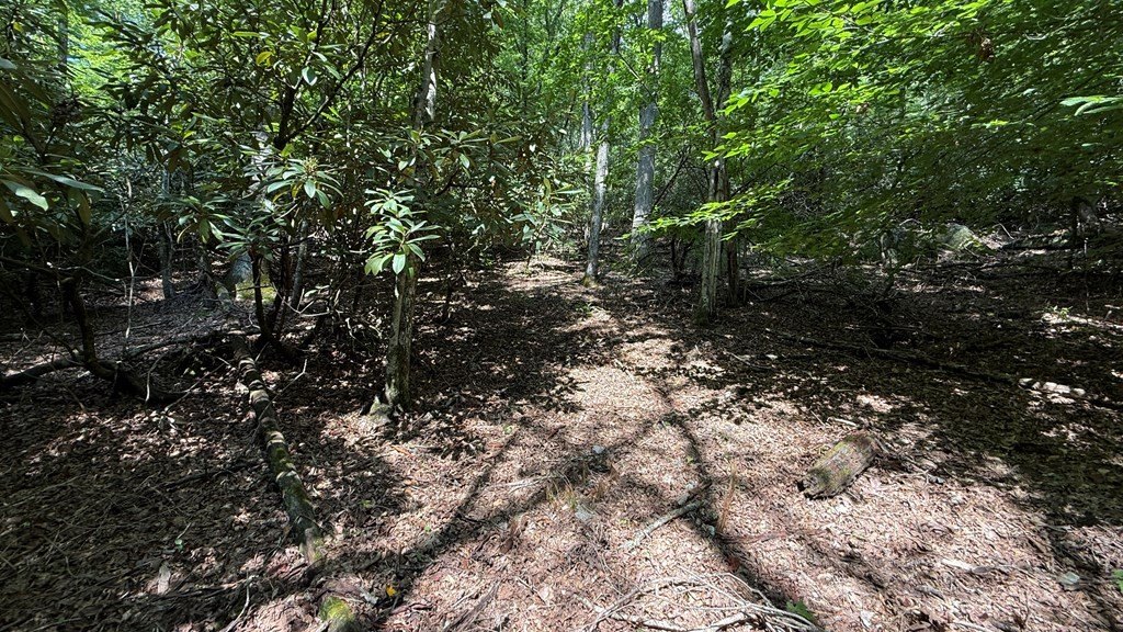 Picture 25