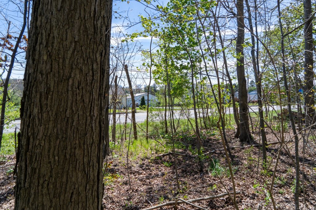Picture 14