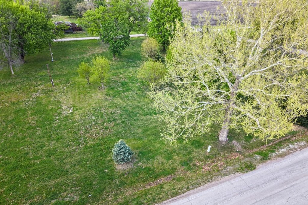 Picture 3